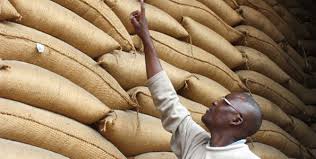 FOOD WORTH MILLIONS DECAYING IN SCHOOL STORES WHILE BOM TEACHERS AND OTHER KENYANS ARE STARVING!