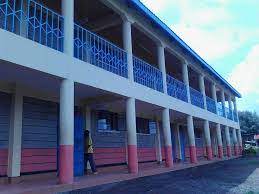 Ndururumo High School KCSE 2020-2021 Results-Performance Analysis and Ranking by Knec  in 2021; School Mean Score, Number of As, Grade Summary and Distribution & Transition Rate to Universities and Colleges in 2021