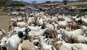 List of constituencies in Isiolo County, Registered Voters, Current MPs and Wards