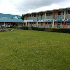 MT ST MARYS GIRLS PRIMARY SCHOOL KCPE Results 2021-2022: KCPE Results 2022 for MT ST MARYS GIRLS PRIMARY SCHOOL,NAKURU County KCPE 2021/2022 Top Schools