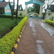 St. Paul's Kevote High School Online KCSE Results-Performance Analysis and Ranking by Knec