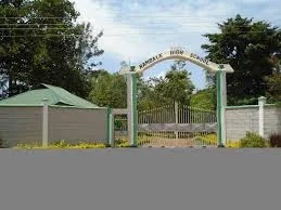 Nambale Boys High Senior School: Full details, location, CBE Subjects Offered