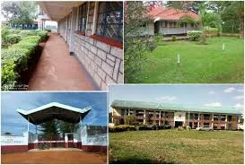 Siakago Boys High Senior School: Full details, location, CBE Subjects Offered