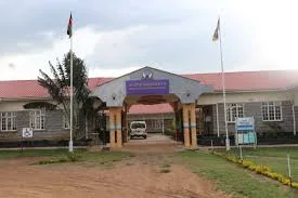 Alupe University KUCCPS 2025/2026 First Year Admission Letters, Lists Portal