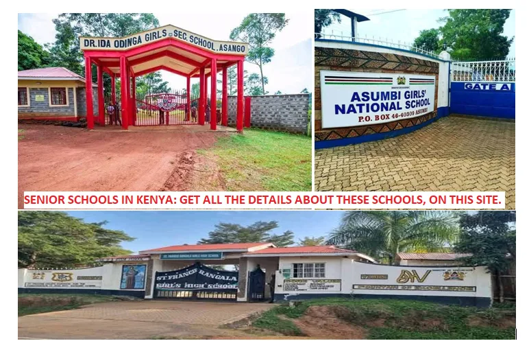 Full list of all Senior Schools (Secondary) in Kenya plus their details.
