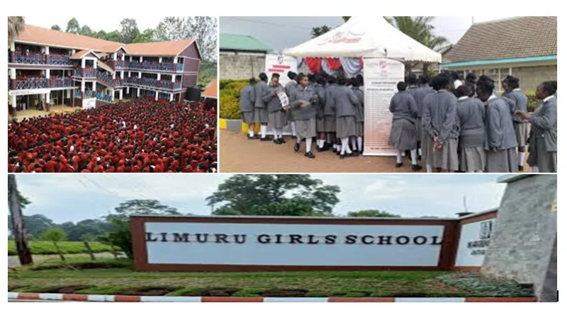 Senior, Secondary, Schools' CBE Subjects, Pathways, Contacts, Location, Fees, Admission {Full Details}