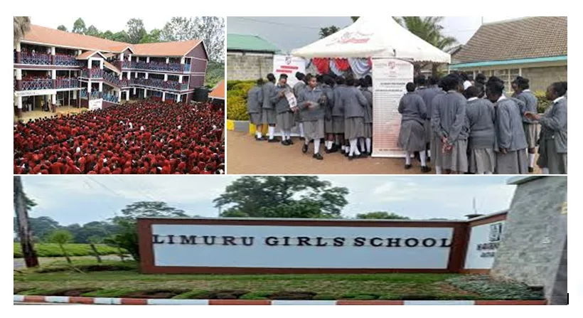 Senior, Secondary, Schools' CBE Subjects, Pathways, Contacts, Location, Fees, Admission {Full Details}