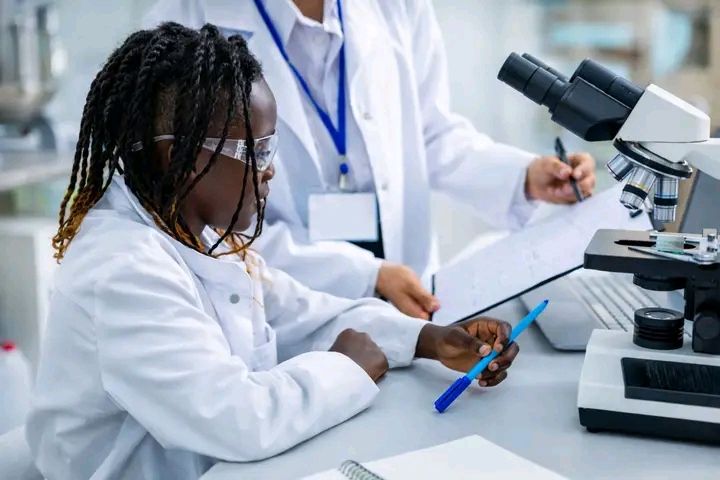 KUCCPS Student Portal, Courses application guide and requirements.,