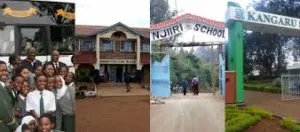 Njiiri High School KCSE 2020-2021 Results-Performance Analysis and Ranking by Knec in 2021; School Mean Score, Number of As, Grade Summary and Distribution & Transition Rate to Universities and Colleges in 2021