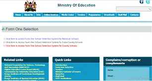 Form One Selection/ Placement Portal: Click Here to Check and Download your form one placement letter: How To Check Download Form One Admission Letter -2022