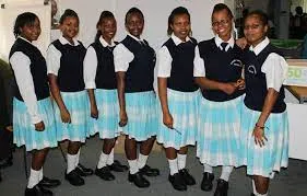 Nakuru Girls (National) KCSE 2020-2021 Results-Performance Analysis and Ranking by Knec in 2021; School Mean Score, Number of As, Grade Summary and Distribution & Transition Rate to Universities and Colleges in 2021
