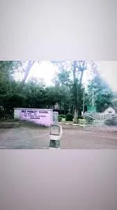 Moi Primary School, Nakuru KCPE 2021 -2022 Results; Get full details on the just released KCPE 2021 Results for Moi Primary School in Nakuru County and other KCPE 2021-2022 Top Performing Schools