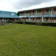 MT ST MARYS GIRLS PRIMARY SCHOOL KCPE Results 2021-2022: KCPE Results 2022 for MT ST MARYS GIRLS PRIMARY SCHOOL,NAKURU County KCPE 2021/2022 Top Schools