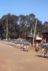 Kibirichia Girls High School Online KCSE Results-Performance Analysis and Ranking by Knec