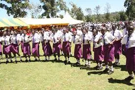 Gionseri Girls Secondary School Online KCSE Results-Performance Analysis and Ranking by Knec