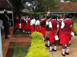 Mariari Girls High School Online KCSE Results-Performance Analysis and Ranking by Knec