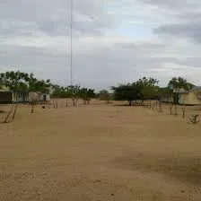 Habaswein Boys High KCSE 2023-2024 Results-Performance Analysis and Ranking by Knec in 2024; School Mean Score-8.52 B (KCSE 2023), Number of A=0, A-=1, Grade Summary, and Distribution & Transition Rate to Universities and Colleges in 2024